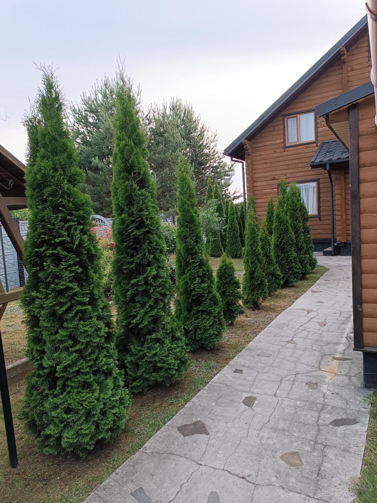 Лазурний Берег Pulemets Extérieur photo