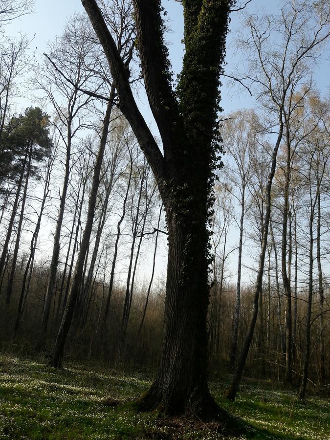 Лазурний Берег Pulemets Extérieur photo